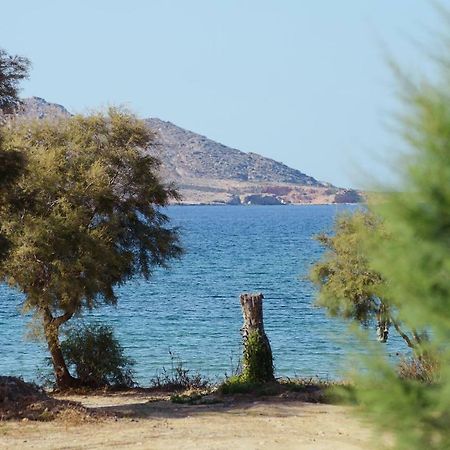 Seaside Paros - Naousa Villa Eksteriør bilde