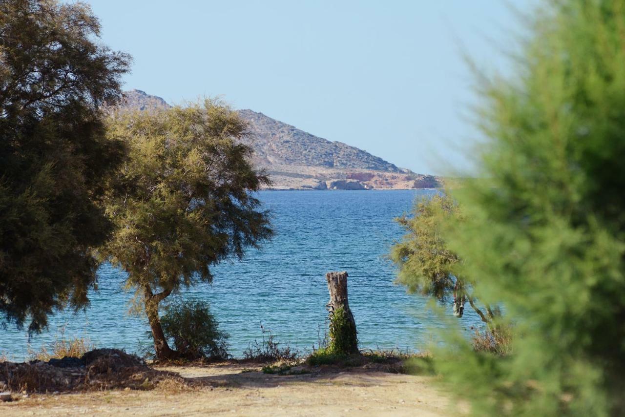 Seaside Paros - Naousa Villa Eksteriør bilde